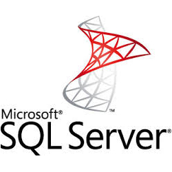 Houston Microsoft SQL Server Database Developer